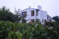 14_vinohrad 14_vinohrad